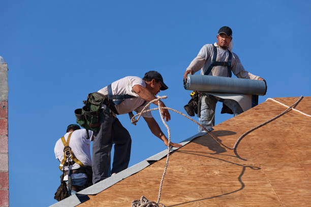 Best Roofing Contractor Near Me  in Wolcottville, IN