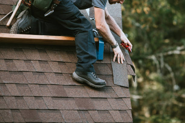 Best Shingle Roofing Installation  in Wolcottville, IN