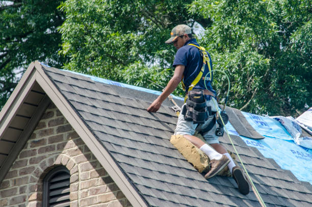 Best Roof Restoration Services  in Wolcottville, IN